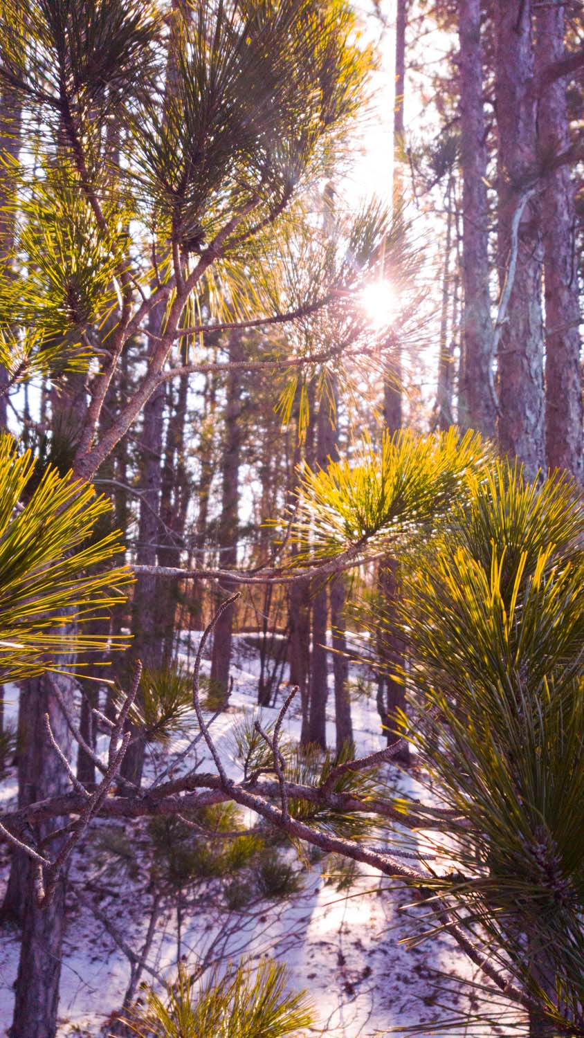 Cent Ridges Centennial Ridges Snowshoe - Bongopix