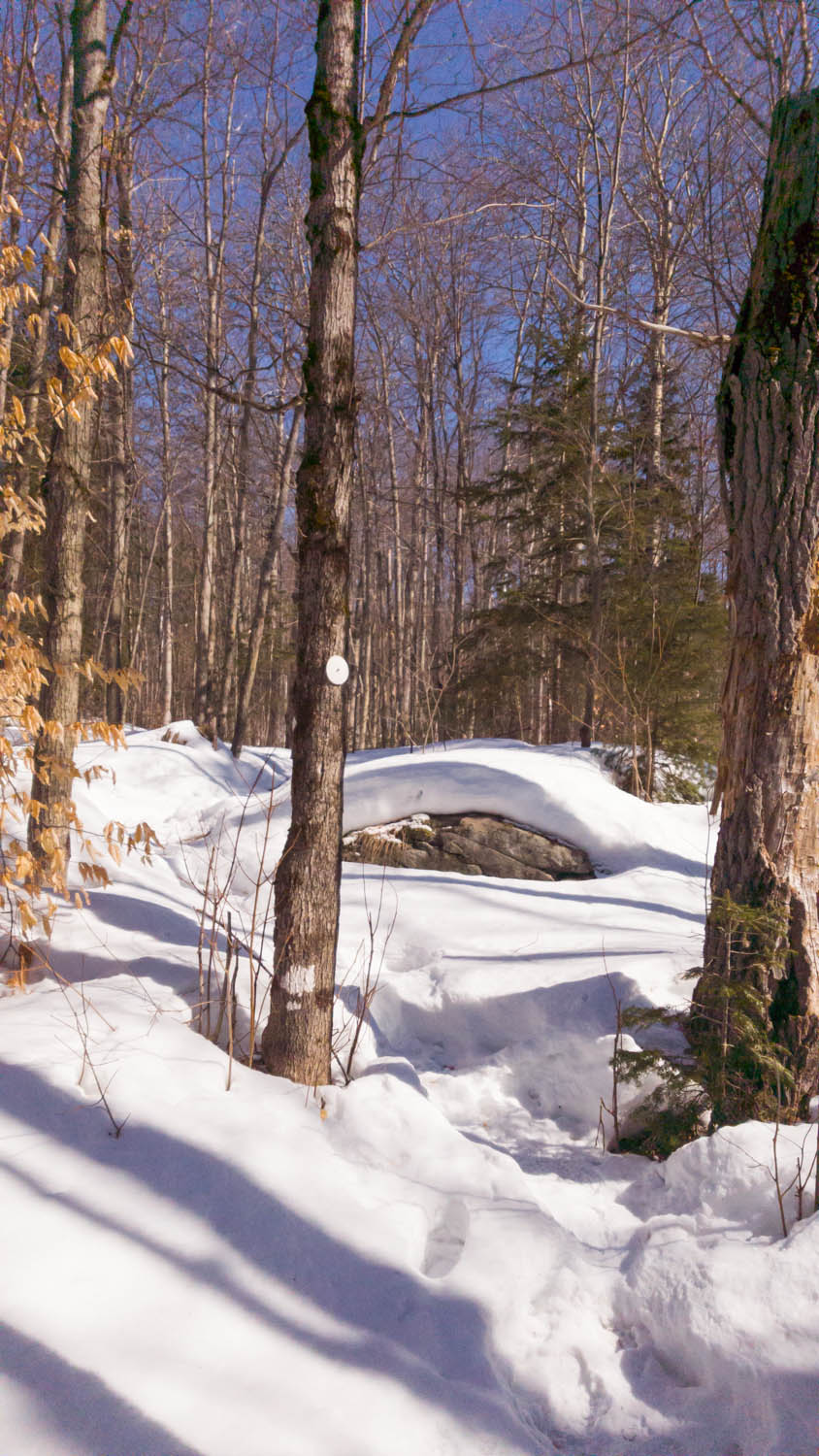 Cent Ridges Centennial Ridges Snowshoe - Bongopix