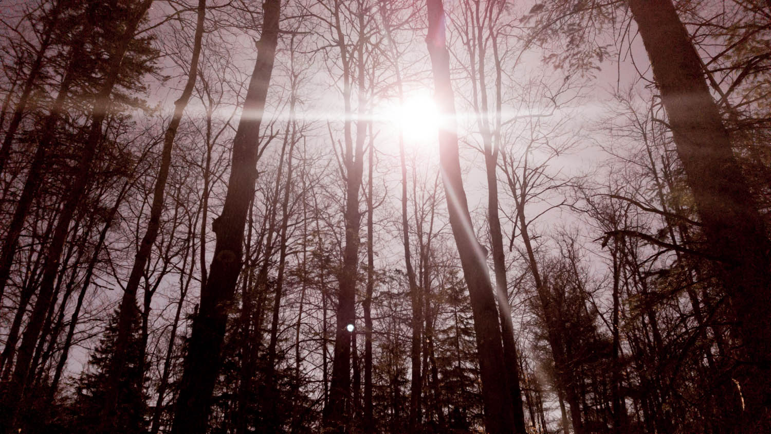 Cent Ridges Centennial Ridges Snowshoe - Bongopix